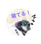 とらまろ♥スタンプ（個別スタンプ：26）