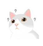 family lovelycat（個別スタンプ：2）