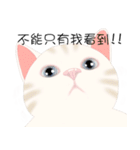 family lovelycat（個別スタンプ：4）