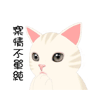 family lovelycat（個別スタンプ：5）