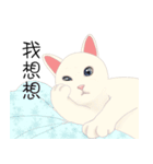 family lovelycat（個別スタンプ：6）