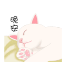 family lovelycat（個別スタンプ：7）