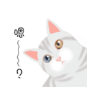 family lovelycat（個別スタンプ：8）