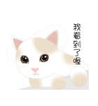 family lovelycat（個別スタンプ：9）