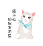 family lovelycat（個別スタンプ：10）