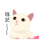 family lovelycat（個別スタンプ：14）