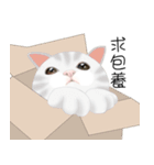 family lovelycat（個別スタンプ：15）