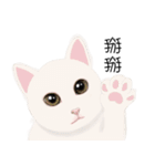 family lovelycat（個別スタンプ：16）