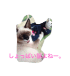 われの国の王子さま。（個別スタンプ：2）