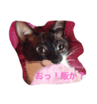 われの国の王子さま。（個別スタンプ：3）