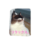 われの国の王子さま。（個別スタンプ：7）