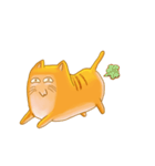 Orange Tabby animated（個別スタンプ：5）