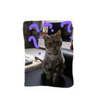 Lazzy Cat（個別スタンプ：1）