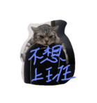 Lazzy Cat（個別スタンプ：4）