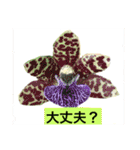 ランの花（個別スタンプ：5）