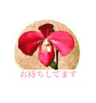 ランの花（個別スタンプ：6）