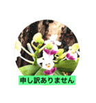 ランの花（個別スタンプ：16）