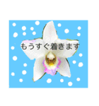 ランの花（個別スタンプ：18）