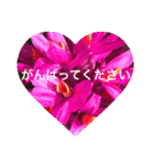 ランの花（個別スタンプ：20）