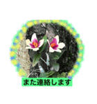 ランの花（個別スタンプ：21）
