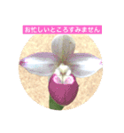 ランの花（個別スタンプ：23）