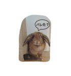 うさぎ-2018-01（個別スタンプ：7）