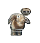 うさぎ-2018-01（個別スタンプ：8）
