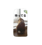 うさぎ-2018-01（個別スタンプ：14）