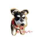 erupin（個別スタンプ：3）