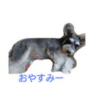 erupin（個別スタンプ：9）