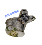erupin（個別スタンプ：15）