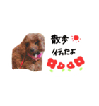 towareno（個別スタンプ：3）