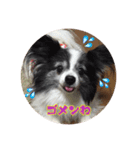 ぱぴこ＆ぽっきー（個別スタンプ：7）
