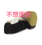 Abby is（個別スタンプ：4）