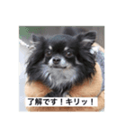 トレプンのアイドルミルトさんvol.2（個別スタンプ：2）