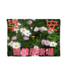 good morning/flowers（個別スタンプ：5）