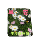 good morning/flowers（個別スタンプ：40）