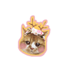 Ruby cat.（個別スタンプ：1）