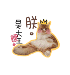 Ruby cat.（個別スタンプ：4）