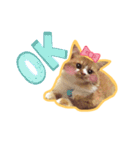 Ruby cat.（個別スタンプ：5）