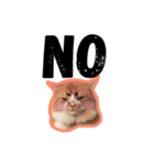 Ruby cat.（個別スタンプ：6）