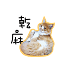 Ruby cat.（個別スタンプ：8）