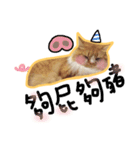 Ruby cat.（個別スタンプ：10）