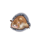 Ruby cat.（個別スタンプ：11）