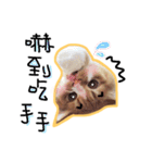 Ruby cat.（個別スタンプ：12）
