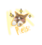 Ruby cat.（個別スタンプ：15）