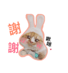 Ruby cat.（個別スタンプ：18）