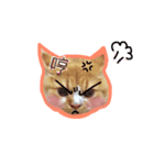 Ruby cat.（個別スタンプ：20）