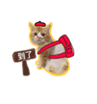 Ruby cat.（個別スタンプ：21）