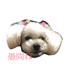 Meru＆Ruru（個別スタンプ：1）